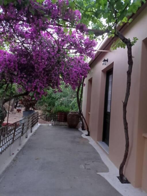 Villa Lidi Stavros  Exterior foto