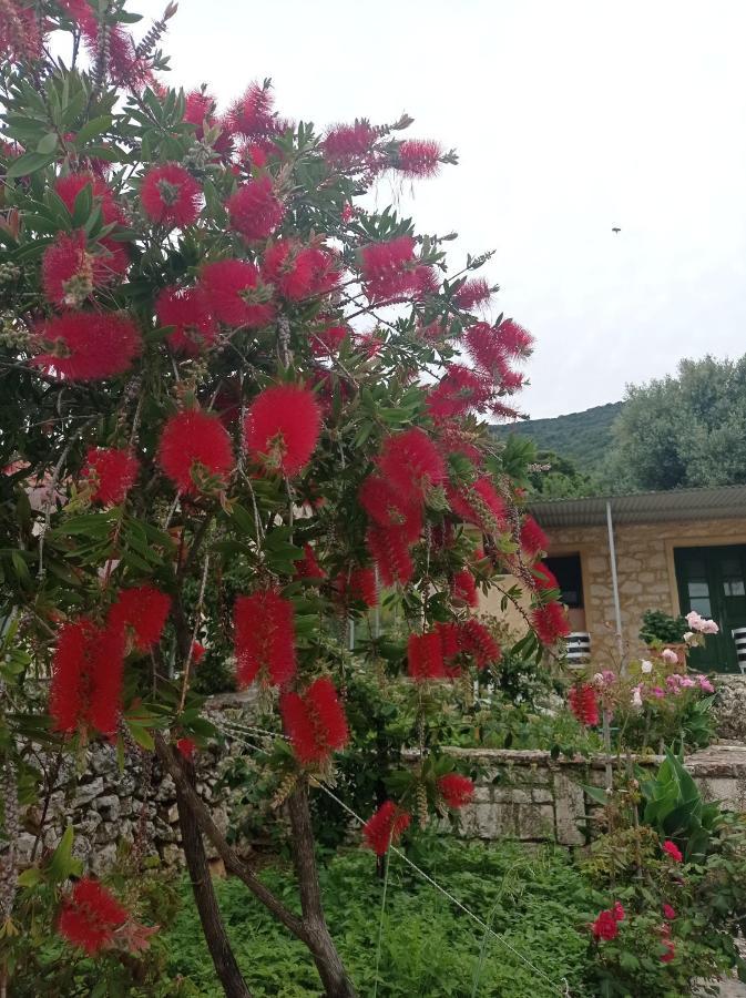 Villa Lidi Stavros  Exterior foto